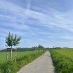 image (1)