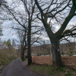 image (5)