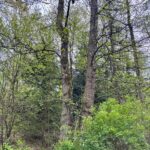 image (6)